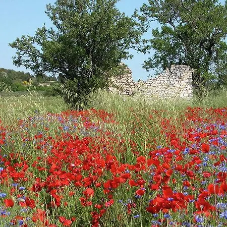 Villa Le Battelou